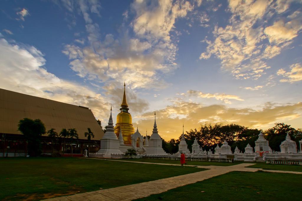 Chiangmai Tree Hostel Чіангмай Екстер'єр фото